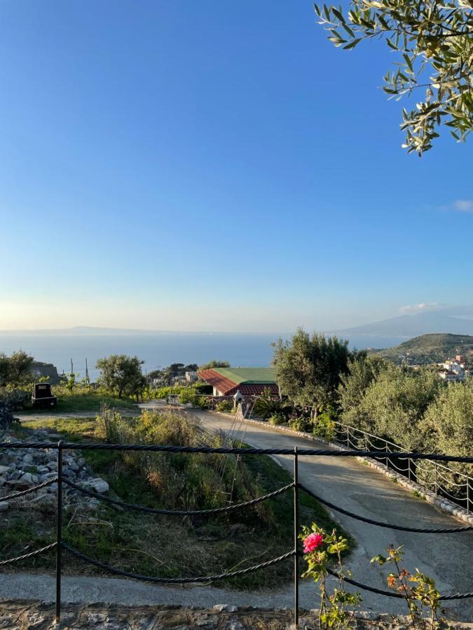 Loren House, Relaxing Location With Seaview 马萨鲁布朗斯 外观 照片